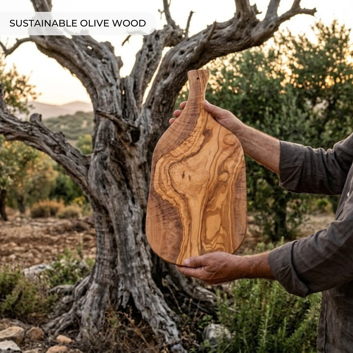 Mediterranean olive wood