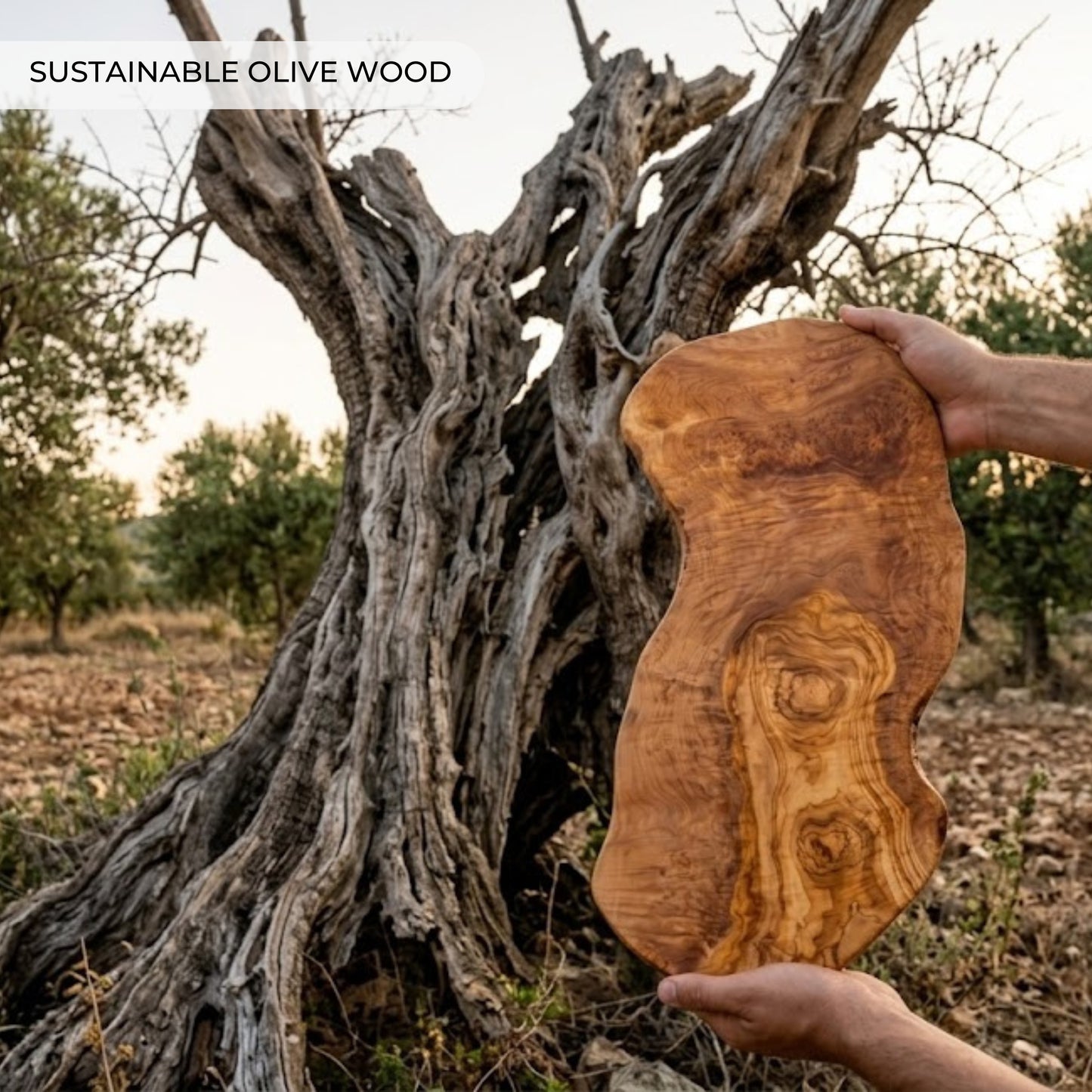 Tabla Grande de Cortar y Servir en Madera de Olivo Natural MALLORCA 51x26 cm