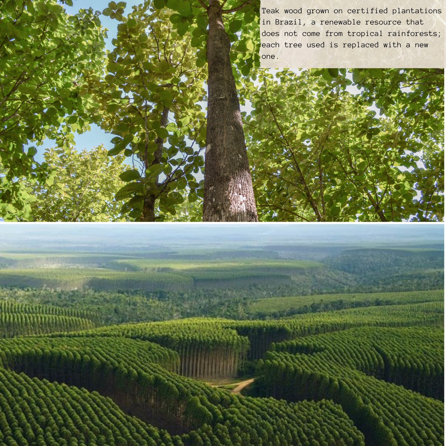 NEW ARRIVAL Bandeja para Servir en Madera de Teca Natural GUADALUPE, rectangular y resistente, con 3 compartimientos y cuenco para salsas, ideal para carnes, pollo, embutidos y tapas (28×23×3.4 cm)