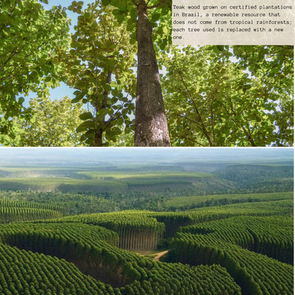 NEW ARRIVAL Bandeja para Servir en Madera de Teca Natural SICILIA, rectangular grande y resistente, ideal para carnes, pollo, pescados y barbacoa (39.5×26×5 cm)