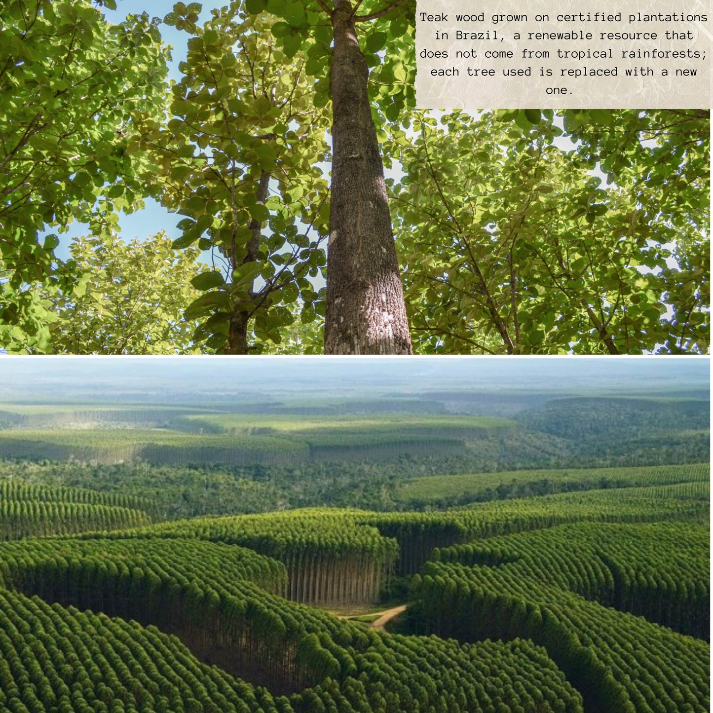 NEW ARRIVAL Bandeja para Servir en Madera de Teca Natural PALERMO, rectangular y resistente, con 2 compartimientos y cuenco para salsas, ideal para carnes, pollo, embutidos y tapas (24.5×21.5×2.4 cm)