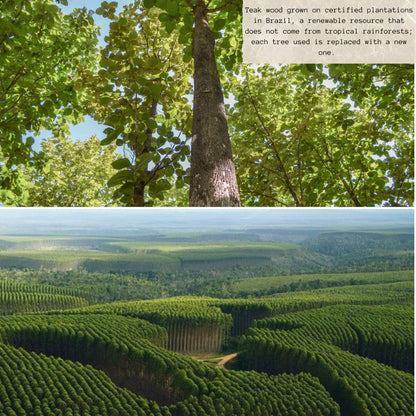 Bandeja para Servir en Madera de Teca Natural MARTINICA, resistente, con 4 compartimientos y cuenco para salsas, ideal para carnes, pollo, embutidos y tapas (35.5×35.5×2.4 cm)